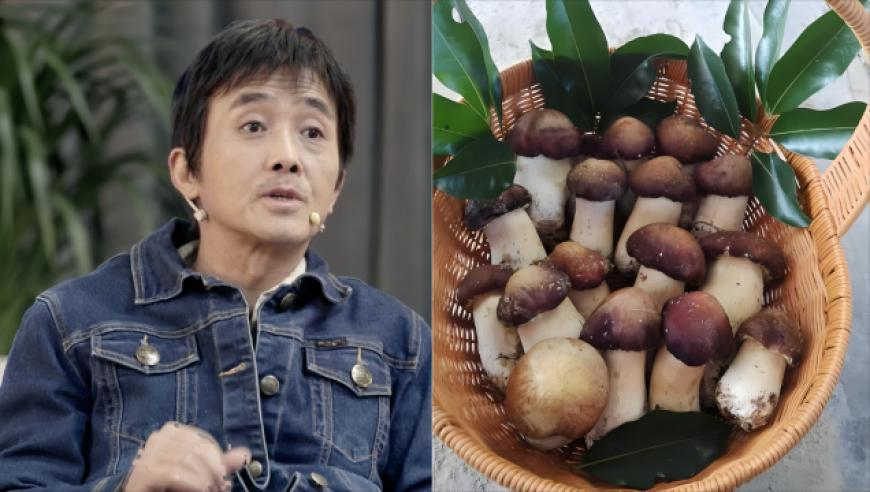 4949澳门正版免费资料大全,瑶一瑶爆红引争议,精准解释落实及其象征意义_高清版V2.71