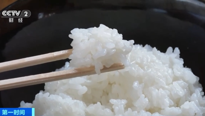 澳门开奖号码历史查询,哪吒2特效制作成员不想去看电影,社会责任方案执行_入门版V15.22