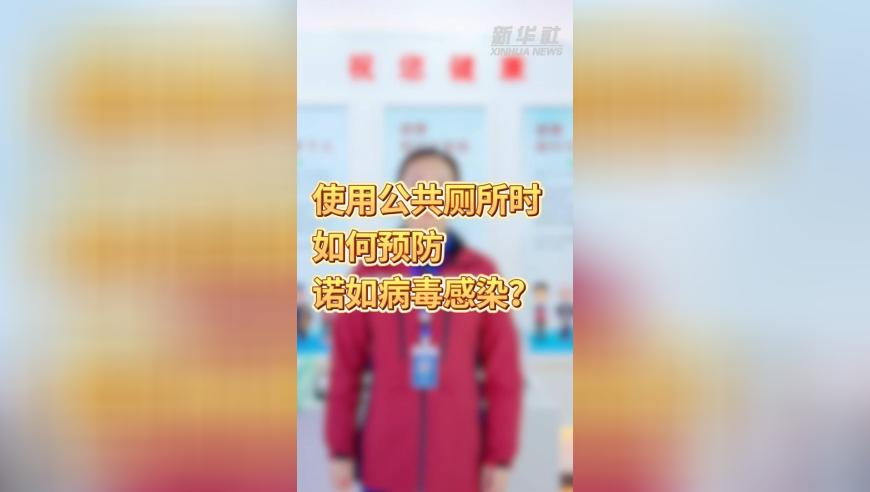 新澳门免费资料网站,雷军：建议优化新能源汽车号牌设计,决策资料解释落实_标清版V8.77