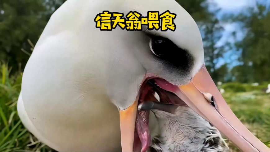 2025澳门彩免费资料大公开,天津滨海新区着火系谣言,创新典义解读_纪念版V10.66