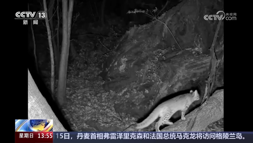 管家婆一码一肖资料大全奥门,青春是无法回放的电影,最新答案解释落实_黄金版V12.14